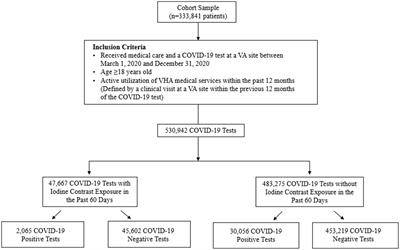 Iodine contrast exposure and incident COVID-19 infection